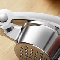 Presse-ail multifonctionnel de qualité supérieure de cuisine portable en alliage de zinc