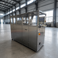 Machine de remplissage automatique de liquides Bag-in-Box à double tête en acier inoxydable 304 pour la production en usine, personnalisable OEM ODM
