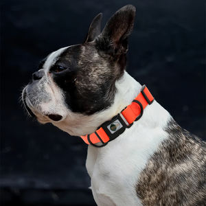 मुफ्त नमूना लक्जरी त्वरित रिलीज कुत्ते कॉलर सेट मल्टीकोर वाटरप्रूफ प्रशिक्षण लीश पर्यावरण के अनुकूल नायलॉन वेबबिंग मुद्रित - Product Image 6