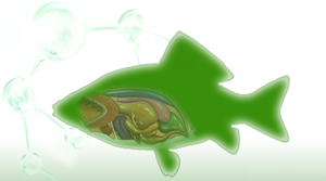 複合酵素添加物YD-LA（ブロイラー、鶏、アヒル、家禽用粉末）ISO認証取得、2年間の保存可能、1kgアルミ袋入り - Product Image 5