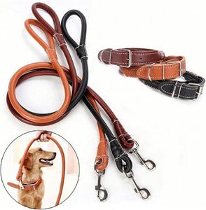 Corde de traction de haute qualité pour chiens de grande, moyenne et petite taille, accessoires pour animaux de compagnie - Product Image 1