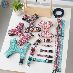 OKKPETS Novedad OEM/ODM de Bajo MOQ Arnés Personalizado para Perro con Impresión de Logo, Set de Arnés de Cuello Ajustable, Correa y <span class=keywords><strong>Collar</strong></span> - Product Image 1