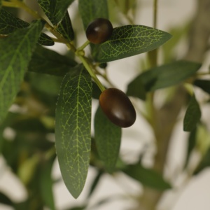 Plantes artificielles en pot en plastique de 210 cm avec pot, grand <span class=keywords><strong>olivier</strong></span> artificiel - Product Image 6