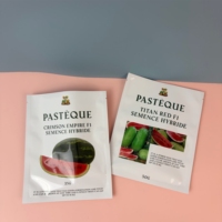 Sachets d'emballage refermables à trois soudures pour graines, personnalisés avec impression numérique, pour graines de pastèque, de tournesol, de légumes et de fruits