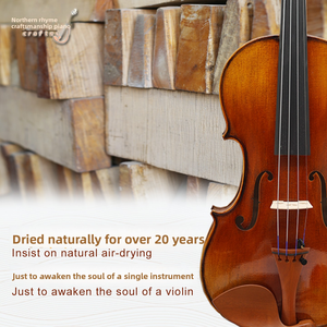 Violín CHENTUO CT4.1 de Alto Rendimiento, Fabricado en China (Liaoning), con Fondo y Laterales de Madera Maciza de Arce, Tapa de Abeto Natural y Diapasón de Ébano - Product Image 5