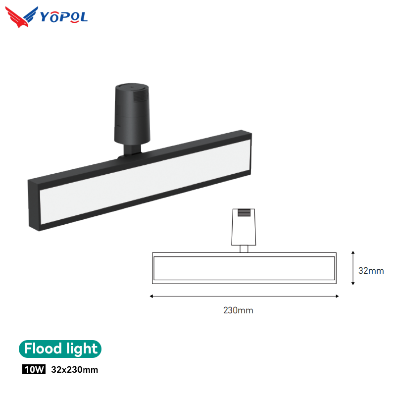 Lumière d'inondation 10W