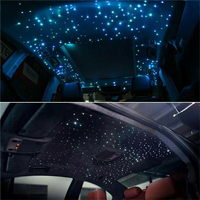 Kit de 500 Luces LED de Fibra Óptica para Techo de Auto, Efecto Cielo Estrellado, Decoración para Auto y Hogar