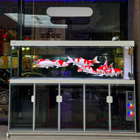 Grand aquarium rectangulaire intelligent à vendre - Le magasin présente des aquariums entièrement équipés en verre ultra-transparent.