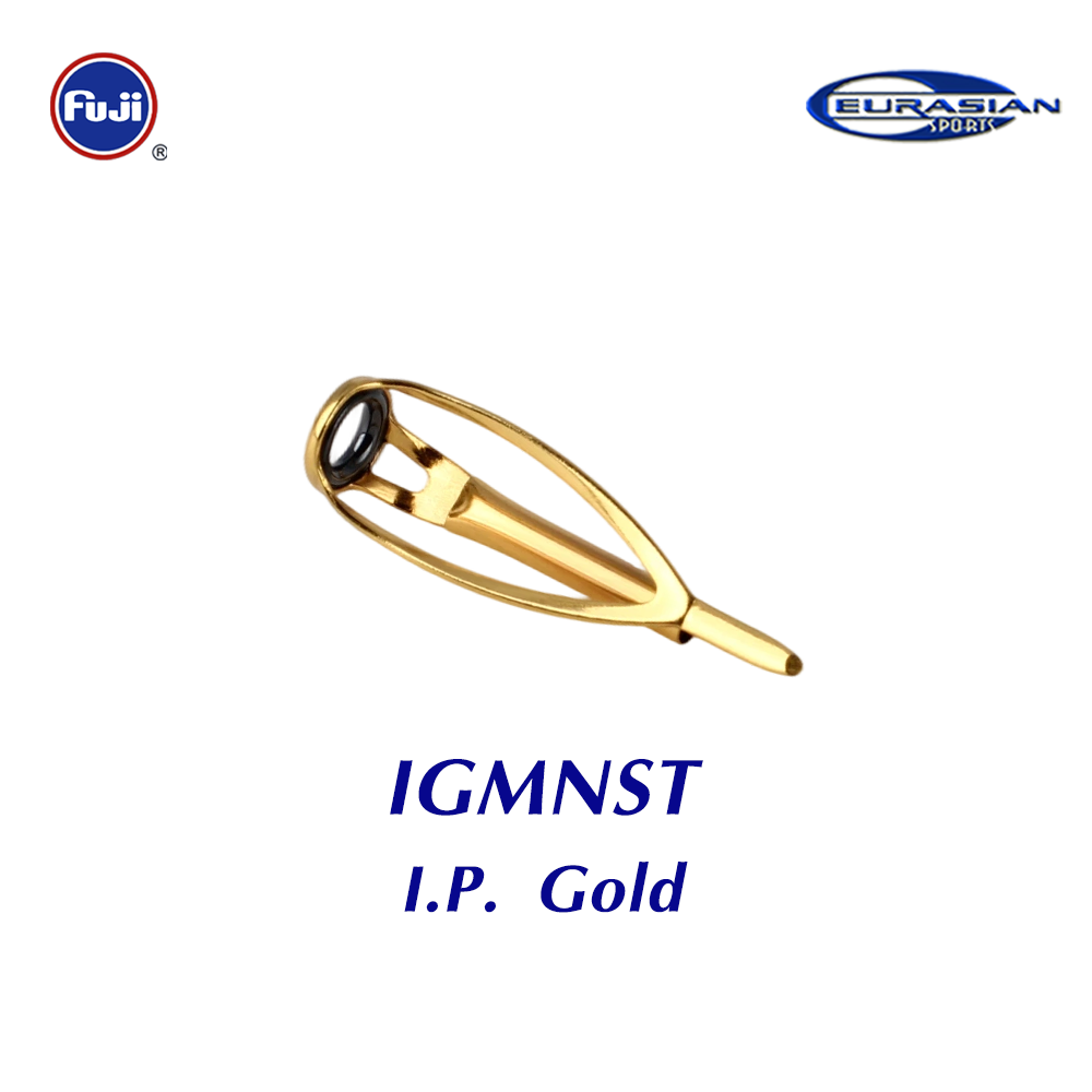 IGMNST(I.P.Oro