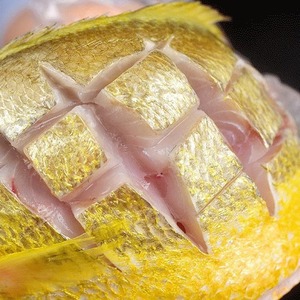 Corvina Amarilla Pequeña Fresca Congelada Capturada en el Mar, Caja Entera de Mariscos 500g, Venta al por Mayor, Pescado de la Mejor Calidad A+, Listo para Consumir - Product Image 5
