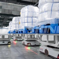 Système de Stockage ASRS pour Farine de Maïs, Dioxyde de Titane en Big-Bag, Amidon et Produits en Poudre avec AGV Robuste