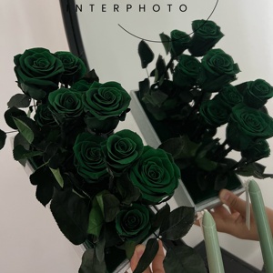 Scatola in acrilico rosa immortale per fidanzata ogni amore nuovo maniero rosa verde scuro - Product Image 3