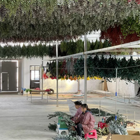 Fleurs et plantes séchées en gros : Eucalyptus séché, feuilles de pomme, tige unique, écorchées, pour décoration de mariage