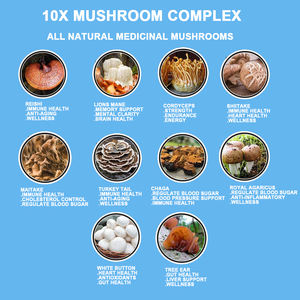 סופר פטריות אריות רעמת Cordyceps ריישי מאקה Ashwagandha Gummies Nootropic מוח זיכרון כבד תמיכה - Product Image 2