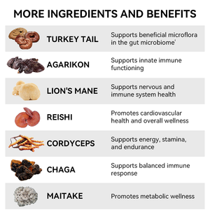 LIFEWORTH Herbal Aid Immune Support Supplement <strong>Capsules</strong> Lion's Mane Reishi <strong>Chaga</strong> Cordyceps Turkey Tail Species Blend for Adults - Product Image 2