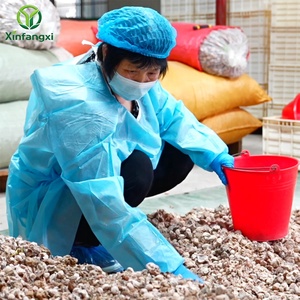 Polvo de Prunus Mume, Sazonador Indonés Auténtico Agridulce para Barbacoa, Frutas y Bebidas, Polvo Li Hing Mui, <span class=keywords><strong>Asam</strong></span> Boi, Serbuk <span class=keywords><strong>Asam</strong></span> - Product Image 3