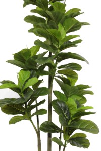 <span class=keywords><strong>180cm</strong></span> fiddle lá vả nhân tạo mô phỏng cây thực vật - Product Image 4