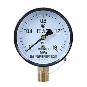 เกจวัดแรงดันน้ำและอากาศ Suzhou Xuansheng Y100 1.6Mpa แบบเข็ม ขนาด 100 มม. เกลียวทองเหลือง - Product Image 1