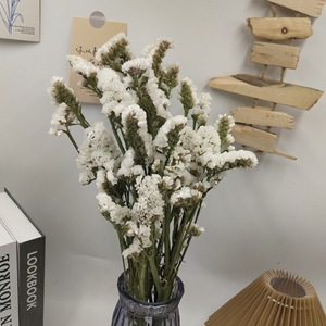 Bouquet <span class=keywords><strong>de</strong></span> fleurs séchées « Oublie-moi-pas » Fleurs séchées naturelles <span class=keywords><strong>Herbe</strong></span> <span class=keywords><strong>de</strong></span> la <span class=keywords><strong>pampa</strong></span> Fleurs réelles Décoration <span class=keywords><strong>de</strong></span> la maison Accessoires <span class=keywords><strong>de</strong></span> photographie Vente en gros - Product Image 2