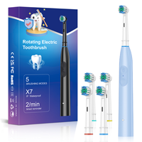 Brosse à dents électrique rotative OEM pour adultes, 5 modes, nettoyage en profondeur, blanchiment des dents, rechargeable, minuteur intelligent de 2 minutes