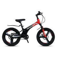 Nouveau Vélo de Montagne SY à Absorption des Chocs, Vitesse Variable, 20 Pouces, en Alliage de Magnésium avec Frein à Disque