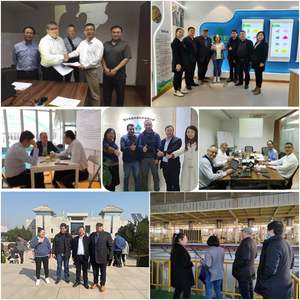 Vitamina <span class=keywords><strong>B12</strong></span> en Polvo de Grado Alimenticio, Materia Prima a Granel, Producto para el Cuidado de la Salud, Suplementos, Vitamina <span class=keywords><strong>B12</strong></span> en Polvo - Product Image 5