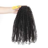 Extensions de cheveux humains bouclés afro kinky pour tresses au crochet, nœuds sans nœuds, miracle nœuds, cheveux humains bouclés birmans pré-bouclés