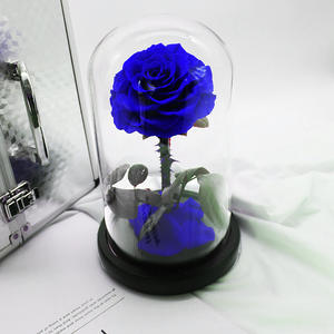 Roses éternelles dans un verre, Saint-Valentin, fête des mères, fleurs préservées éternelles, roses éternelles dans un dôme en verre, cadeau LED - Product Image 3