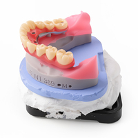 Prothèse fixe complète à pont Malo, supportée par implants, en alliage Cobalt-Chrome, modèle Typodont Demo Ecolab, certifiée ISO 9001