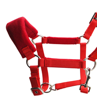 Harnais pour cheval en sangle PP, avec œillet métallique, accessoires nickelés, produit d'équitation, équipement de course hippique LT2011