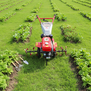 Professional Agricultural Power Tiller & <b>Cultivator</b> (OEM/ODM Available) | All-in-One Multi-Function Soil Tiller for Any Terrain - Product Image 1