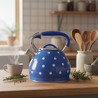 Bouilloire sifflante moderne en acier inoxydable pour la maison et le camping, capacité de 2 L, 2,5 L, 3 L, fond à induction