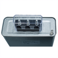 Condensador de Tipo Seco Autorreparable de 20kvar 0.48kv 100A para Motores Industriales, Transformadores, Corrección del Factor de Potencia de Alto Voltaje