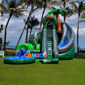 Patio trasero Niños Kid Slides <span class=keywords><strong>Castillo</strong></span> saltador hinchable Bouncing Jeux De Toboggan Aquatique Coconut Falls Tobogán acuático inflable - Product Image 1