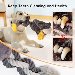 Sevimli hayvan çiğnemek gıcırtılı köpek oyuncaklar orta cins yavru dolması OEM çiğnemek kırışık kağıt dayanıklı halatlar yumuşak römorkör Teething kuş oyuncaklar - Product Image 4