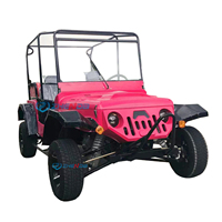 2024 150cc/250cc Mini Jeep Véhicule Utilitaire Nouveau Buggy Voitures Enfants utv Véhicule Tout Terrain Essence Chariots Transport Spécial