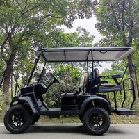 Voitures de golf électriques neuves de la marque Lesong, 4 roues, 72V 5000W, siège arrière, pliage rapide, scooter de golf