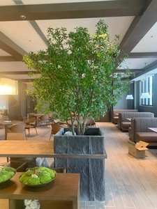 Arbre de <span class=keywords><strong>pieris</strong></span> <span class=keywords><strong>japonica</strong></span> artificiel Andromède japonais fabriqué à la main de taille personnalisée pour la décoration intérieure - Product Image 6
