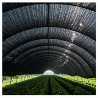 Hete Aanbieding 100% HDPE Zwarte Zware Kwaliteit Draagbare Opvouwbare Ecologische Aanpasbare Maat Zonwering Netten Landbouw Tuin