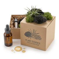 Diffuseur de parfum en roche volcanique botanique, plateau métallique personnalisé, paysage de mousse, ensemble de pierres aromatiques pour huiles essentielles, vente en gros pour la décoration intérieure