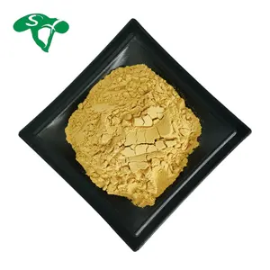 Trung Quốc thảo dược astragalus chiết xuất từ rễ Polysaccharide astragalus chiết xuất bột