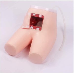 Aides pédagogiques médicales Modèle de formation avancée à la défécation et à la défécation Modèle de lavement de défécation Modèle de soins <span class=keywords><strong>infirmiers</strong></span> médicaux - Product Image 4