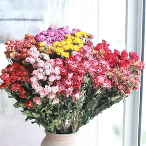 T04272 Grosir Pernikahan Asli Beku Kelopak Mawar Kering Dalam Jumlah Besar Buket Bunga Kering Alami Bunga Mawar Kering untuk Dekorasi
