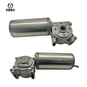 12V/24V Small Smart Brush Induction Door Opening <b>Motor</b> Speed <b>Control</b> Electric European-style Hollow Worm Gear DC Micro <b>Motor</b> - Product Image 1