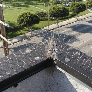 Chim <span class=keywords><strong>Repeller</strong></span> sản phẩm thép không gỉ chim CuộN - Product Image 6