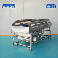 Lavadora Industrial de Vegetales Frescos con Corriente de Burbujas Continua para Plantas de Procesamiento de Vegetales