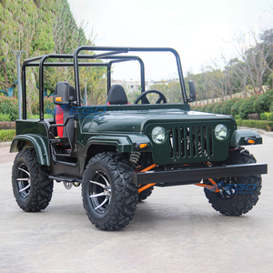 Buggy électrique, mini jeep pour adultes, jeep électrique 4x4, Jeep Willys 250cc, buggy - Product Image 3