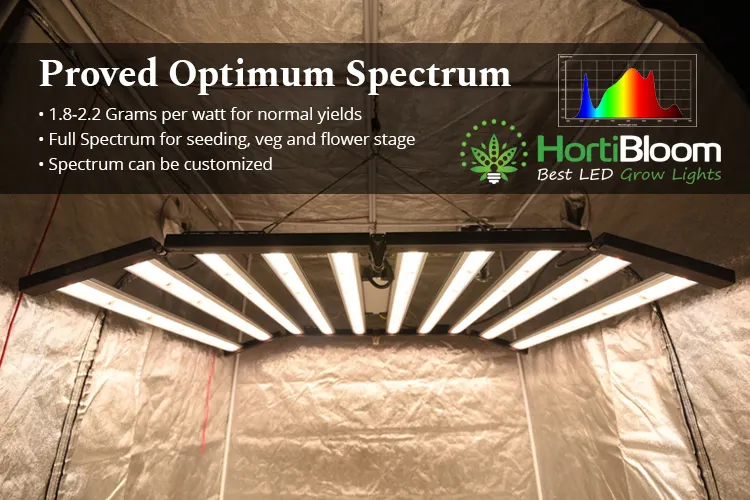 Venda quente 2023 HortiBloom levou Mega Enfold 720 Comercial cresce luzes 1000w Led Grow Light com preço branco de mercúrio