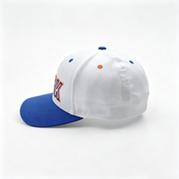 Casquette de baseball personnalisée de haute qualité, bicolore, structurée, avec fermeture snapback et logo brodé en 3D pour les sports de plein air