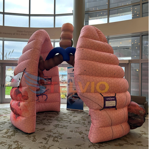 Attrezzature per l'insegnamento medico gonfiabili per organi del corpo gonfiabili per <span class=keywords><strong>palloncini</strong></span> gonfiabili per polmone sano - Product Image 2